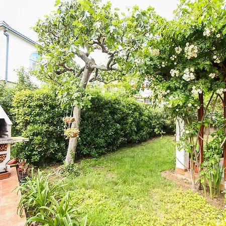 Apartmán Eden Split